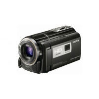 Sony HDR-PJ30VE (HDRPJ30VEB)